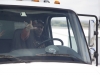 convoy2013_146
